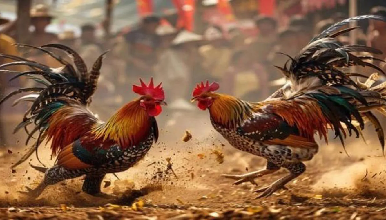 Collection of popular casino games from various providers